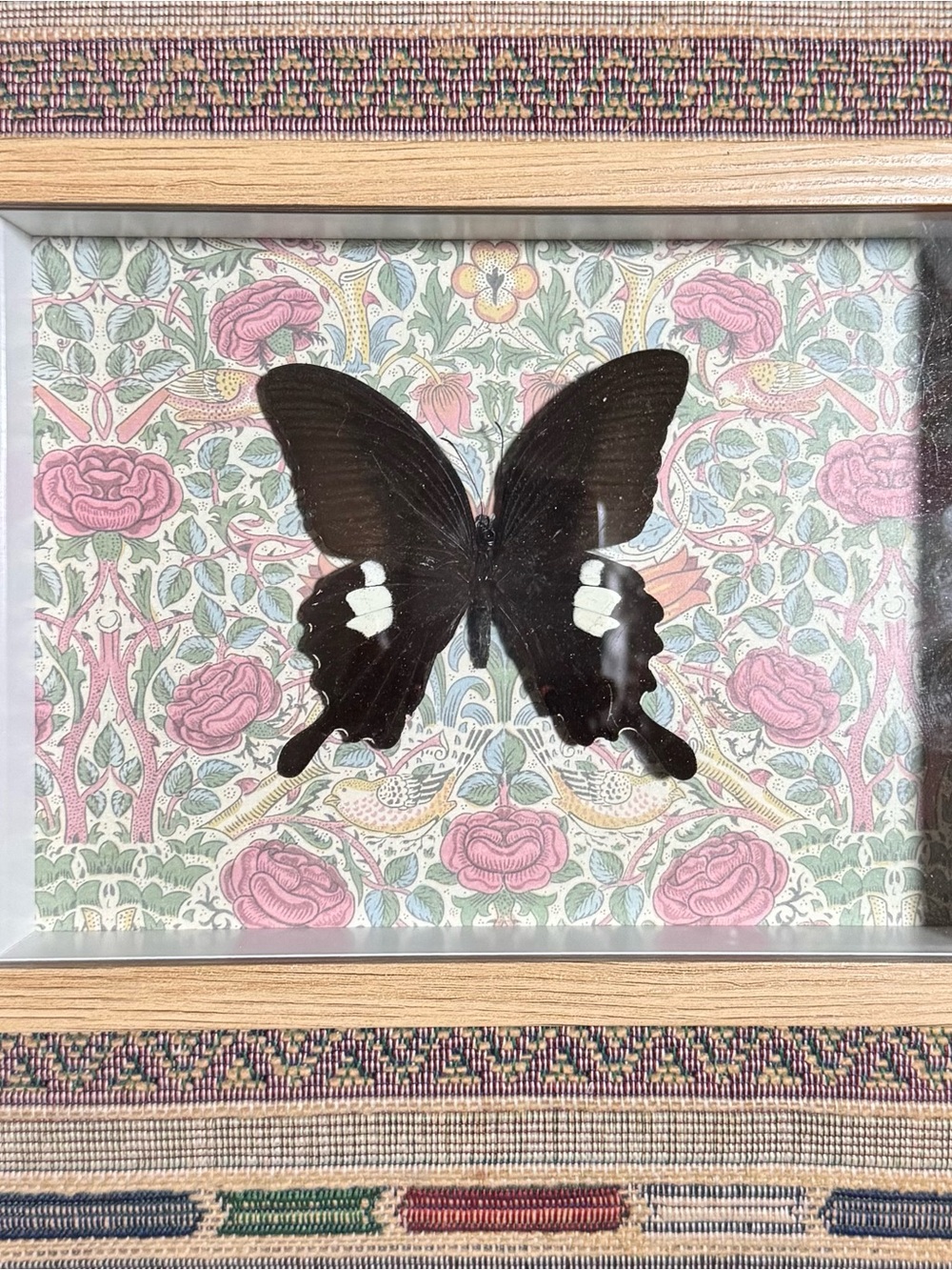 Framed Black Butterfly Wall Art - Neutral Home Accents